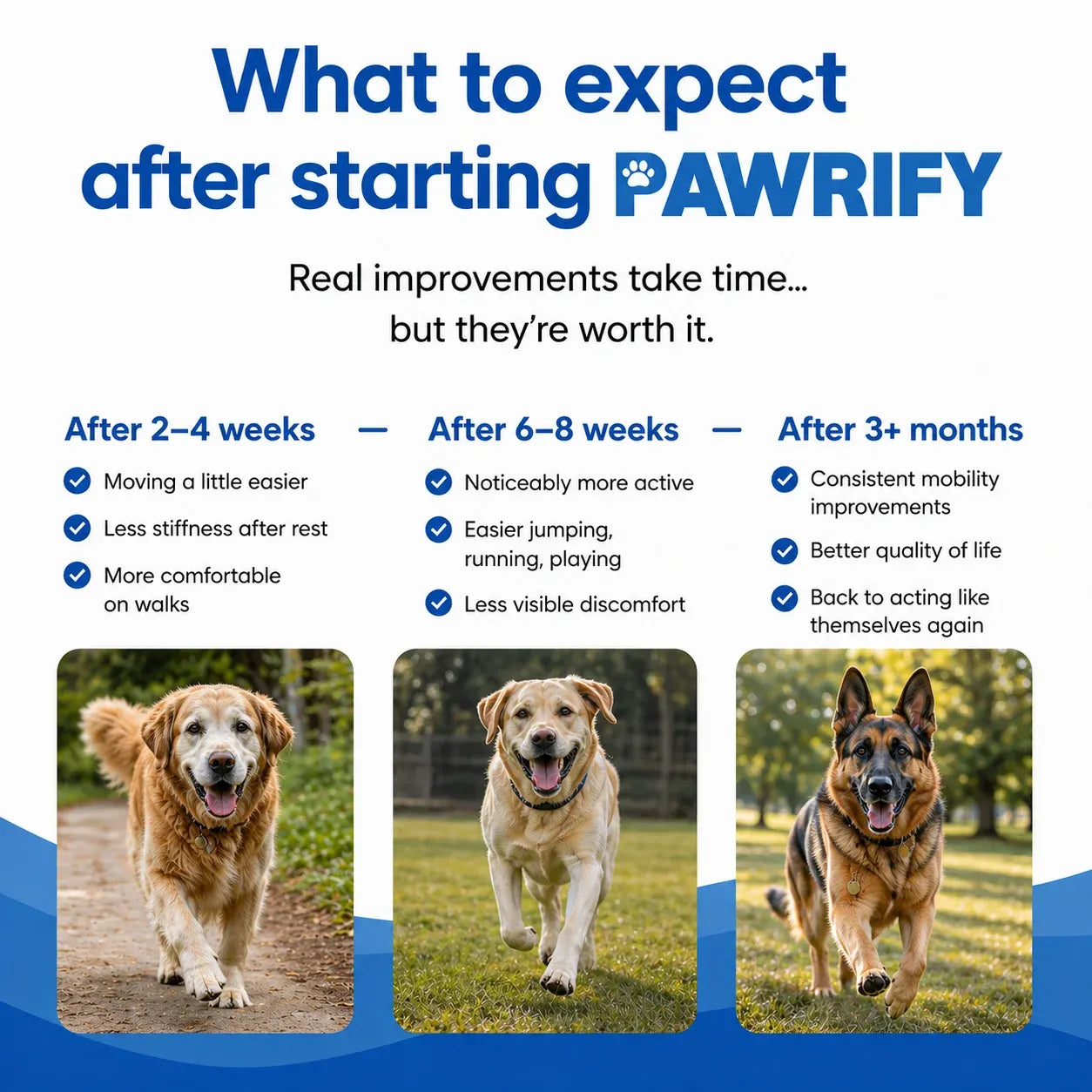 Pawrify Joint Care Collagen